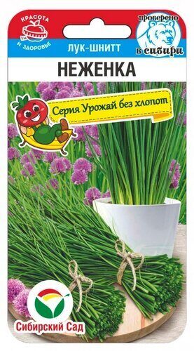 Лук Шнитт Неженка 0,5г (Сиб сад)