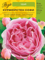 Роза Курфюрстен Софи (Шраб) С ЦВ.НАКЛЕЙКОЙ 1шт (Сиб сад)