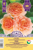 Роза Грейс (Английская) 1шт (Сиб сад)