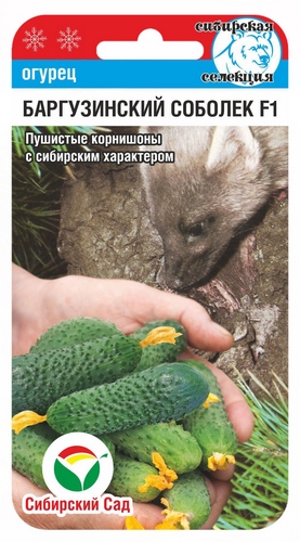 Огурец БАРГУЗИНСКИЙ СОБОЛЕК F1 7шт (Сиб Сад)