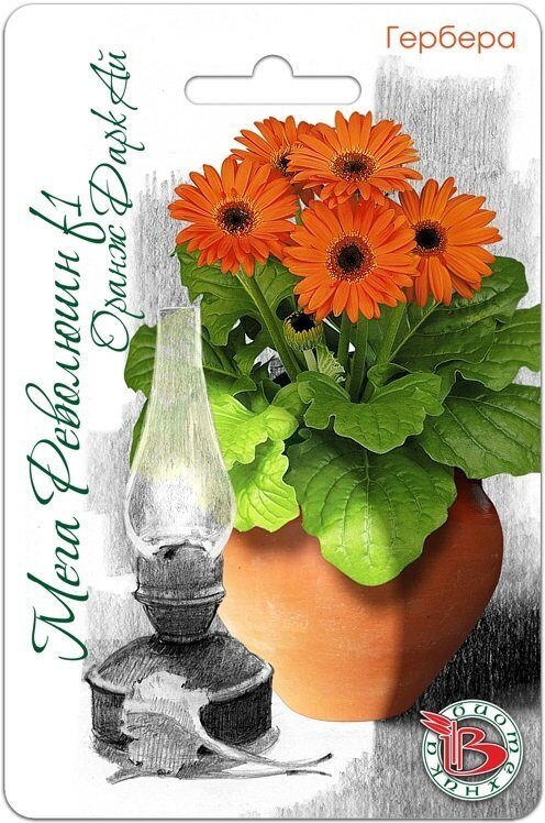 Гербера Мега Революшн F1 Оранж Дарк Ай 5шт (Биотехника)