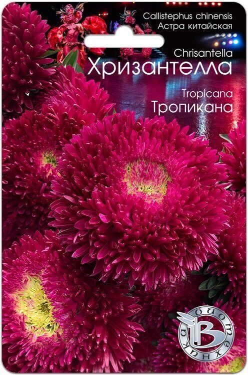 Астра ХРИЗАНТЕЛЛА Тропикана однолетник 30шт (Биотехника)