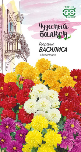 Георгина Василиса Чудесный балкон смесь однолетник 0,3г  (Гавриш)