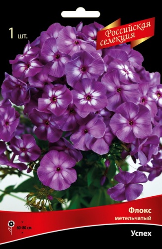 Флокс Успех 1шт (Поиск)
