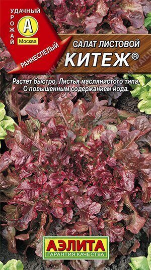 Салат Китеж листовой 0,5г (Аэлита)