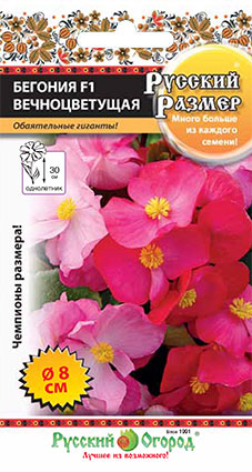 Бегония РУССКИЙ РАЗМЕР F1 вечноцветущая смесь однолетник 5шт (НК)