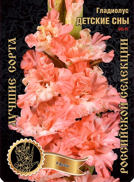Гладиолус Детские сны 445,Дыбов 1 р-р 1шт (Ф)