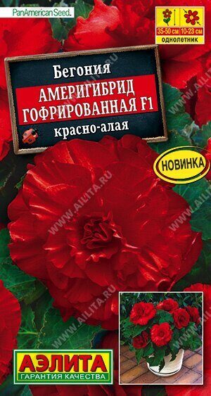 Бегония Америгибрид F1 гофрированная красно-алая однолетник 5шт (Аэлита)