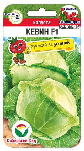 Капуста белокочанная Кевин F1 10шт (Сиб Сад)
