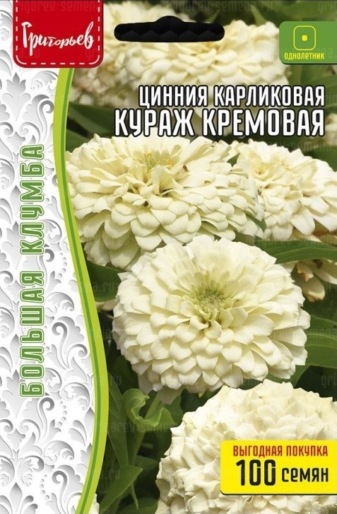 Цинния Кураж Кремовая карликовая большая грядка 100шт (Ред.сем)