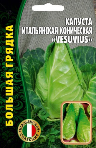 Капуста белокочанная Итальянская коническая VESUVIVS Большая грядка 0,2г (Ред.сем)