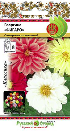 Георгина Фигаро смесь однолетник 0,2гр (НК)