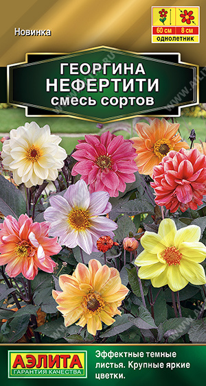 Георгина Нефертити смесь однолетник 0,3г (Аэлита)