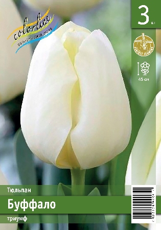 Тюльпан Буффало 11/12 3шт (Колорлайн)