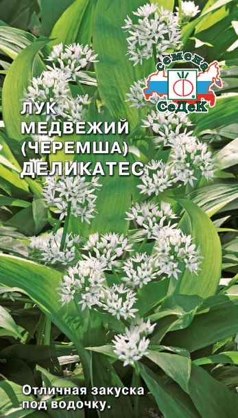 Лук Черемша Медвежий Деликатес 0,2г (Седек)
