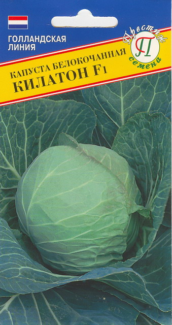 Капуста белокочанная Килатон F1 10шт (Престиж)