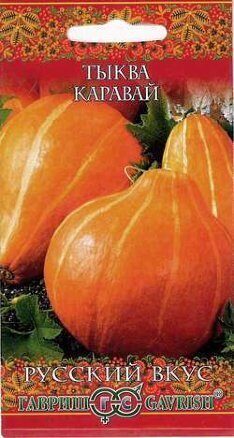 Тыква Каравай Русский вкус 2г (Гавриш)