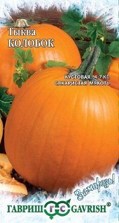 Тыква Колобок Заморозь 1г (Гавриш)