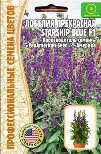 Лобелия Starship Blue прекрасная многолетник 3шт (Ред.сем)