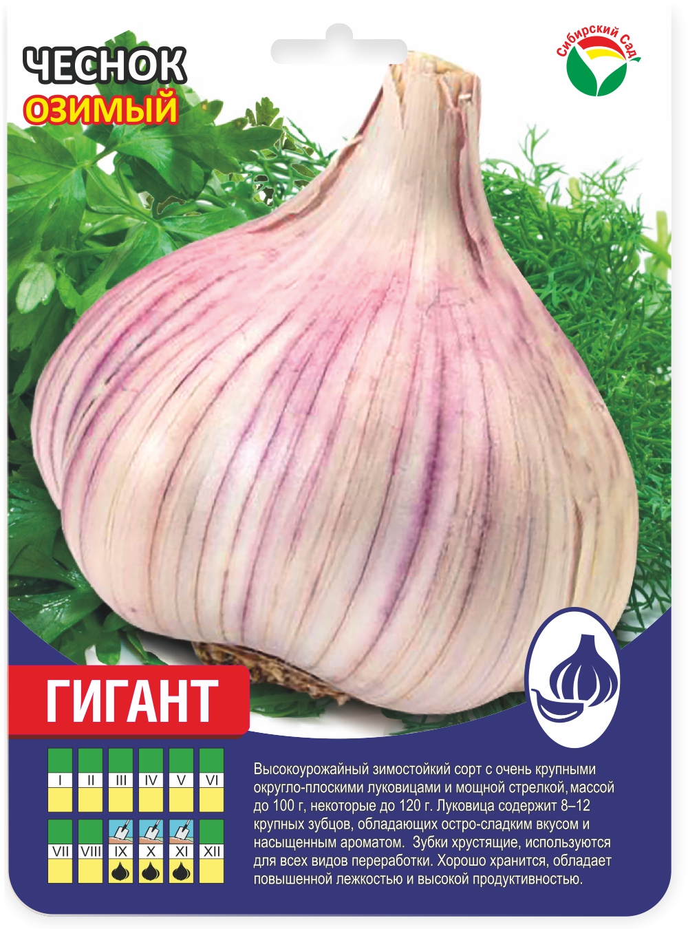 Чеснок Гигант фракция 60+ (УПАКОВКА +/- 0.5кг) (Сиб сад)