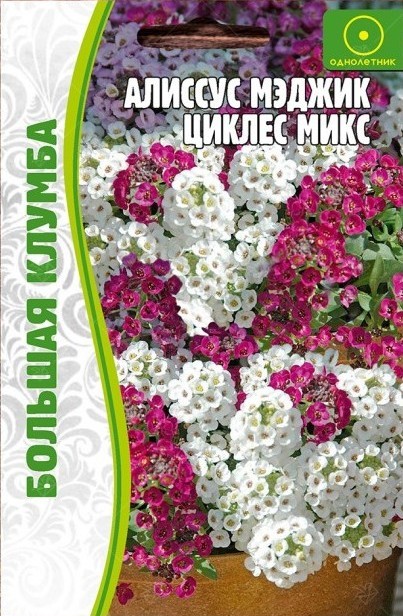 Алиссум Мэджик циклис (Cycles) микс Большая клумба однолетник 0,1г (Ред.Сем)