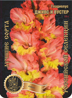 Гладиолус Дживс и Вустер 525,Фотин 1 р-р 1шт (Ф)