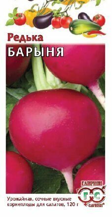 Редька Барыня китайская 1г (Гавриш)