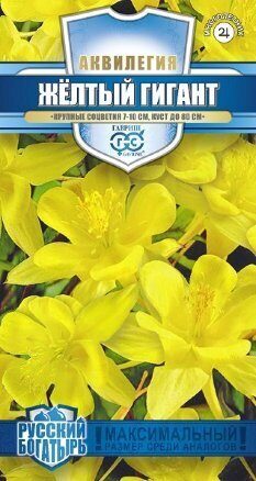 Аквилегия Желтый гигант Русский богатырь многолетник 0,05г (Гавриш)
