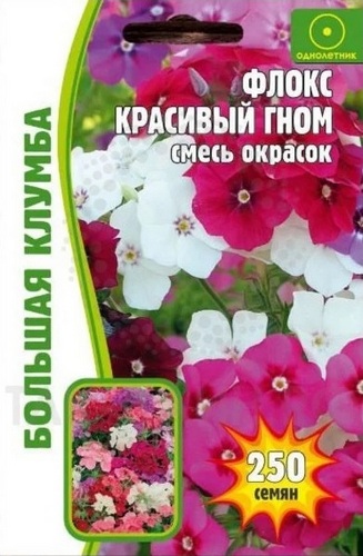 Флокс Красивый Гном смесь Большая клумба однолетник 250шт (Ред.сем)