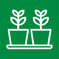 Рассадники