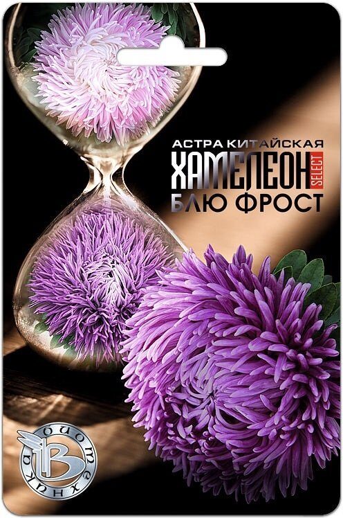 Астра ХАМЕЛЕОН Селект Блю Фрост однолетник 30шт (Биотехника)