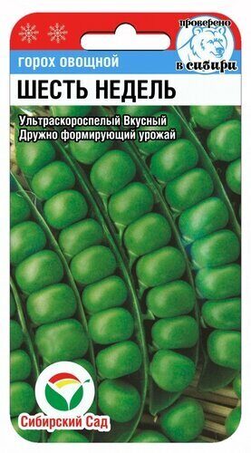 Горох 6 недель 5г (Сиб Сад)