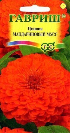 Цинния Мандариновый Мусс однолетник 0,3г (Гавриш)