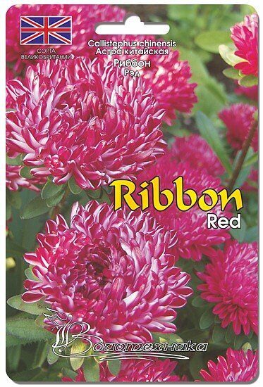 Астра РИББОН Красный однолетник 30шт (Биотехника)