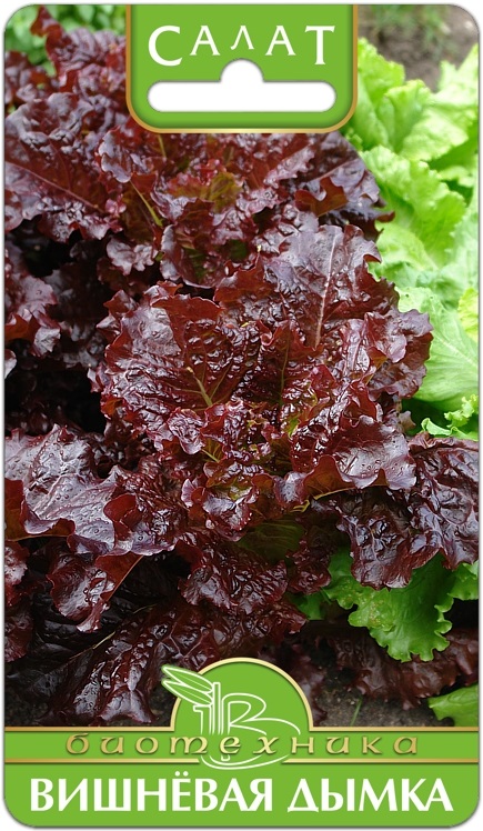 Салат Вишневая дымка листовой 0,5г (Биотехника)