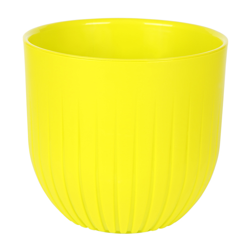 Альфа 2,9л Медовый (Ливингрин)(6шт)