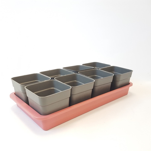 Рассадник 0,7л 8 стаканов + ящик 3л (Симаев)(10шт)