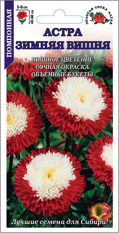 Астра Зимняя вишня однолетник 0,1г (золотая Сотка)