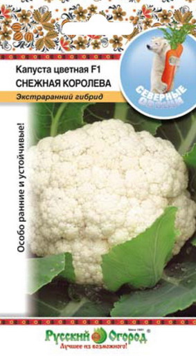 Капуста цветная Снежная королева F1 экстраранняя Северные овощи 0,2г (НК)