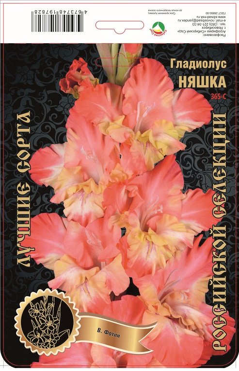 Гладиолус Няшка 365,Фотин 1 р-р 1шт (Ф)