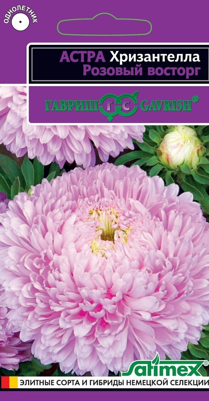 Астра ХРИЗАНТЕЛЛА Розовый восторг однолетник 0,05г (Гавриш)