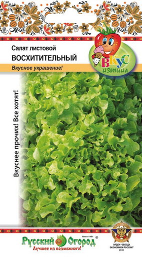Салат Восхитительный листовой ВКУСНЯТИНА 200шт (НК)