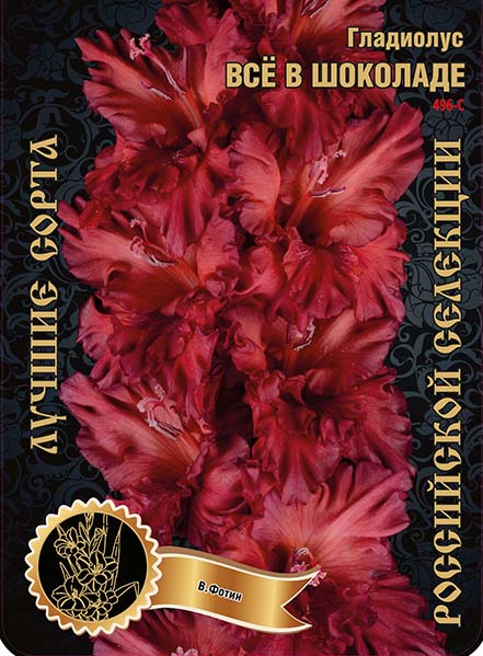 Гладиолус Все в Шоколаде 496,Фотин Экстра 1шт (Ф)