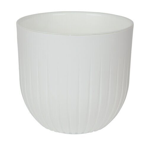 Альфа 4л Белый (Ливингрин)(8шт)