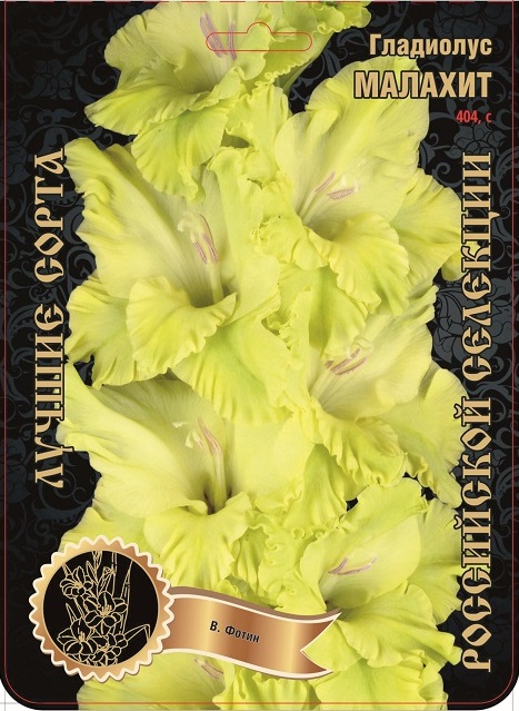 Гладиолус Малахит 404,Фотин 1 р-р 1шт (Ф)