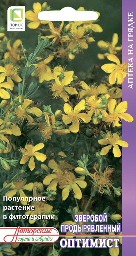 Зверобой Оптимист продырявленный Аптека на грядке 0,1г (Поиск)