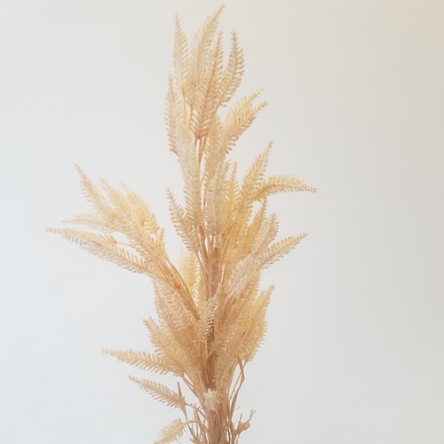Сухоцвет ветка для декора бежевая 1шт (Сиб Сад)