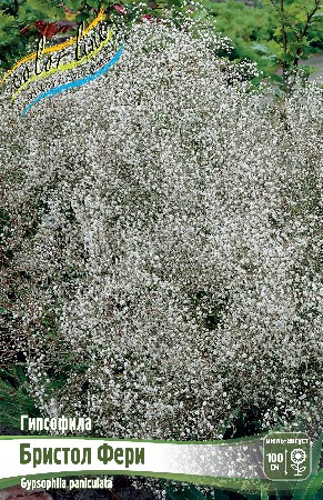 Гипсофила Бристол Фери 1шт (Колорлайн)