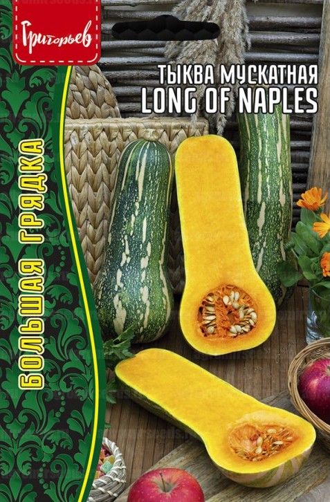 Тыква Длинная из Неаполя мускатная  большая грядка 4шт (Ред.сем)