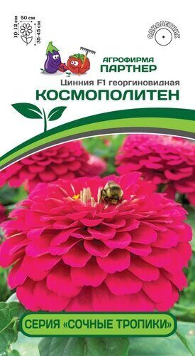 Цинния Космополитен F1 Сочные тропики георгоновидная 4шт (Партнер)